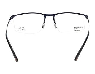 Rückansicht Jaguar 35600 (3100)