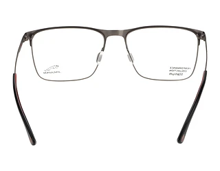 Rückansicht Jaguar 35601 (6500)