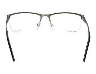 Rückansicht Jaguar 35605 (3100)