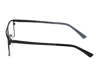 Seitenansicht Jaguar 35607 (6100)