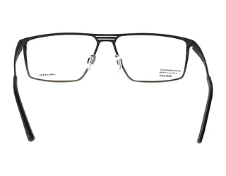 Rückansicht Jaguar 35607 (6100)