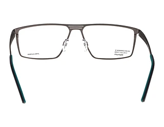 Rückansicht Jaguar 35607 (6500)