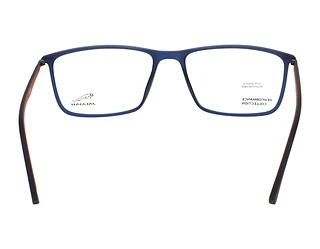 Rückansicht Jaguar 36807 (3100)