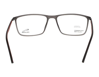 Rückansicht Jaguar 36807 (6500)