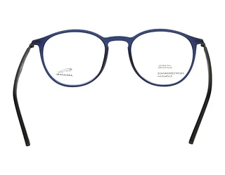 Rückansicht Jaguar 36808 (3100)