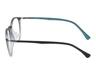 Seitenansicht Jaguar 36808 (3101)