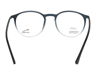 Rückansicht Jaguar 36808 (3101)