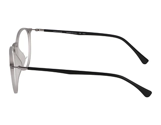 Seitenansicht Jaguar 36808 (6500)