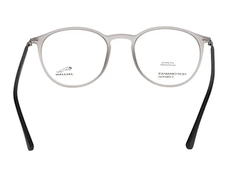 Rückansicht Jaguar 36808 (6500)