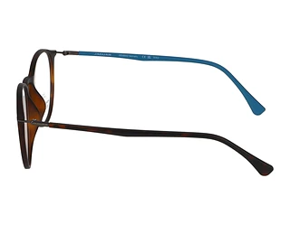 Seitenansicht Jaguar 36808 (8940)