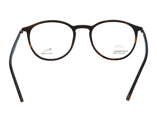 Rückansicht Jaguar 36808 (8940)