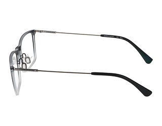 Seitenansicht Jaguar 36819 (3100)