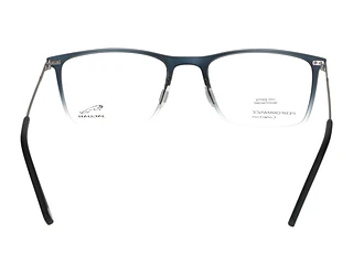 Rückansicht Jaguar 36819 (3100)