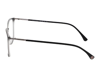 Seitenansicht Jaguar 36824 (6100)