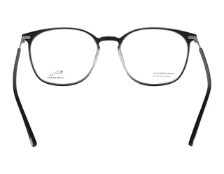 Rückansicht Jaguar 36824 (6100)