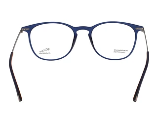 Rückansicht Jaguar 36826 (3100)