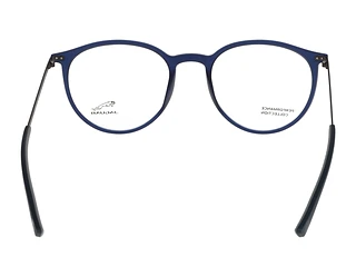 Rückansicht Jaguar 36827 (3100)