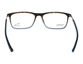 Rückansicht Jaguar 36829 (5101)