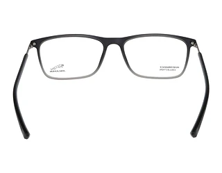 Rückansicht Jaguar 36829 (6500)