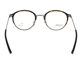 Rückansicht Jaguar 36830 (5100)