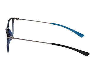 Seitenansicht Jaguar 36831 (3100)