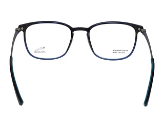 Rückansicht Jaguar 36831 (3100)