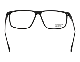 Rückansicht Jaguar 36833 (6100)