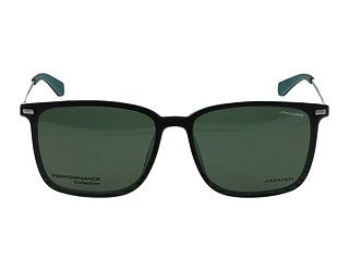 Seitenansicht Jaguar 36834 (4100)