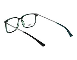 Rückansicht Jaguar 36834 (4100)