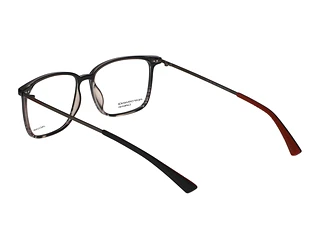 Rückansicht Jaguar 36834 (6100)