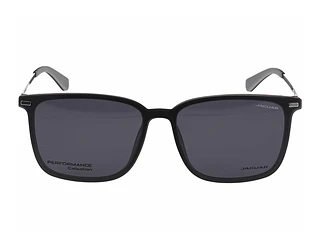 Seitenansicht Jaguar 36834 (6500)