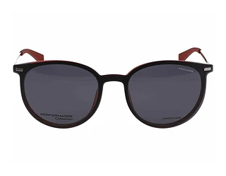 Seitenansicht Jaguar 36835 (2100)