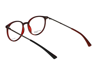 Rückansicht Jaguar 36835 (2100)