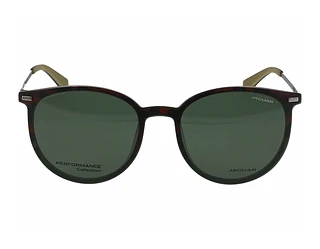 Seitenansicht Jaguar 36835 (5100)