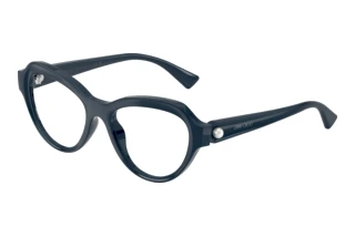 Vorderansicht Jimmy Choo JC1002HU (5016)