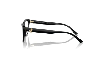Seitenansicht Jimmy Choo JC3008 (5000)