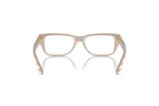 Rückansicht Jimmy Choo JC3016 (5033)