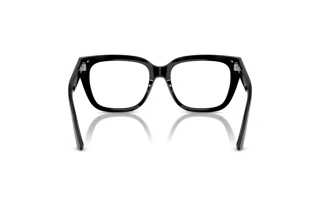 Rückansicht Jimmy Choo JC3019B (5000)