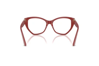 Rückansicht Jimmy Choo JC3026 (5013)