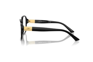 Seitenansicht Jimmy Choo JC3027 (5000)