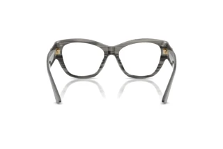 Rückansicht Jimmy Choo JC3033BU (5063)