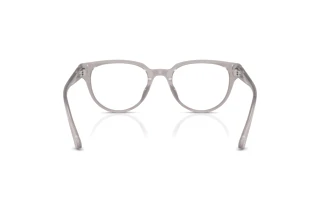 Rückansicht Jimmy Choo JC3051D (5096)