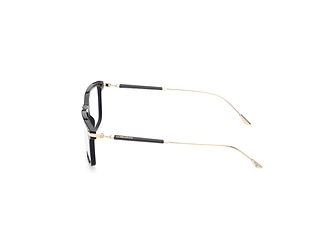 Seitenansicht Longines LG5029 (001)