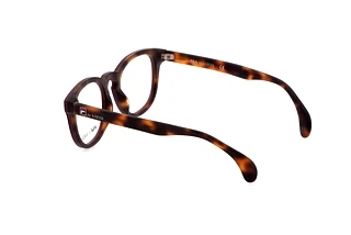 Seitenansicht Lozza VL4243 (993M)