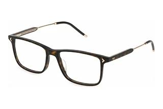 Lozza VL4311 0722 SHINY DARK HAVANA