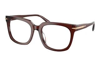 Michael Kors MK4176U 3401 Brown Transparent