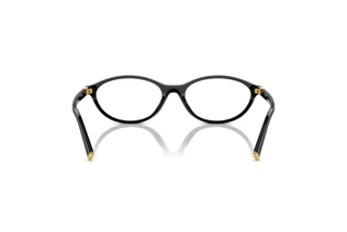 Rückansicht Miu Miu MU 09XV (16K1O1)