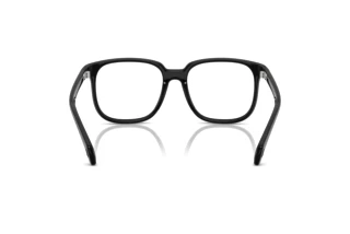 Rückansicht Moncler ME3003 (5001)