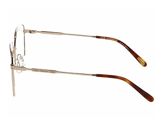 Seitenansicht Morgan 203258 (5100)