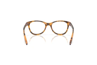 Rückansicht Oakley HUMBLY (OY8022 - 802206)